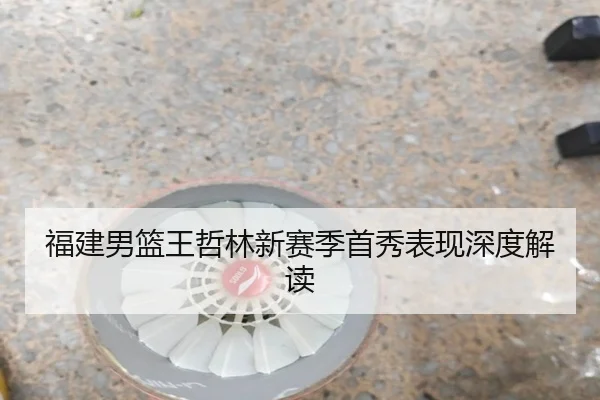 福建男篮王哲林新赛季首秀表现深度解读