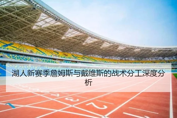 湖人新赛季詹姆斯与戴维斯的战术分工深度分析